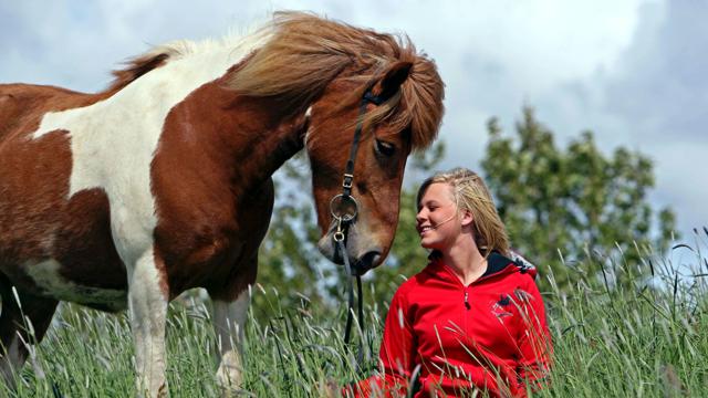 Horse Riding & Golden Circle