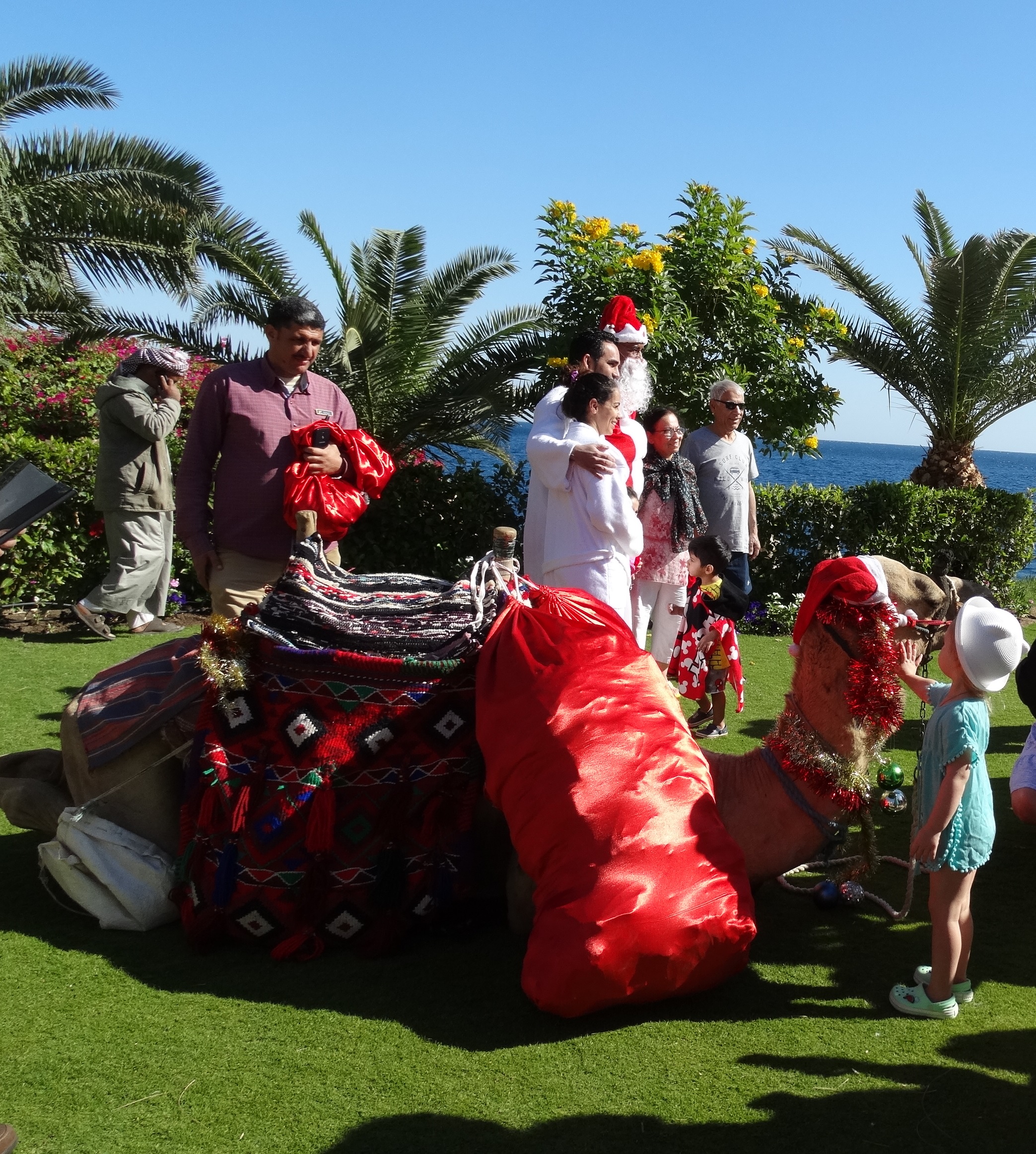 Christmas in the Sun: A Winter Escape to Sharm El Sheikh